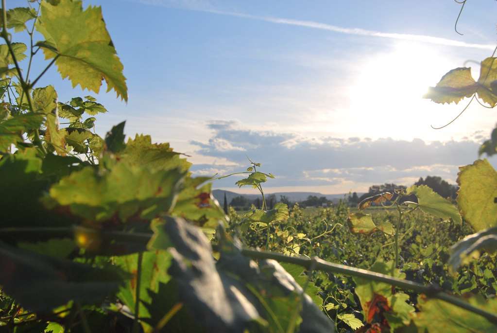 Logis Hotel Du Haut-Bugey Oyonnax Esterno foto